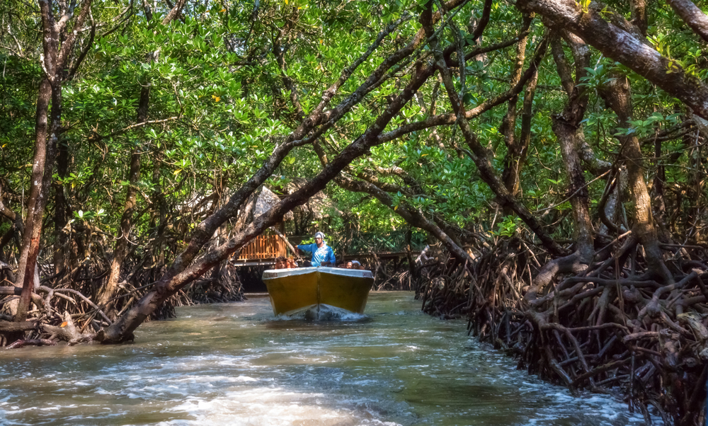 Jim Corbett With Jungle Safari- 2N 3D